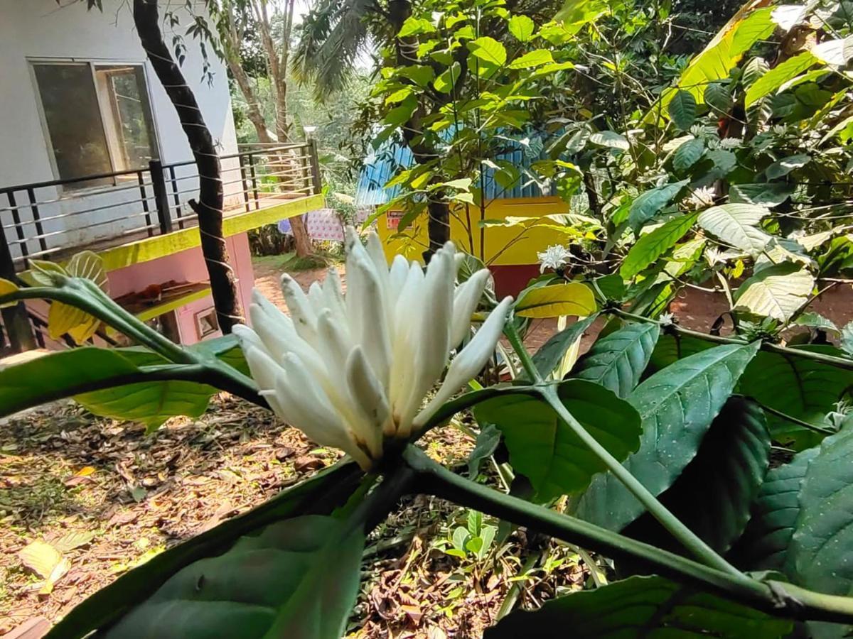 Green Land Estate Homestay 5 Rooms With Garden View Мадикери Екстериор снимка